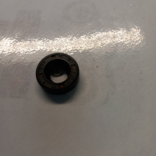 Hyosung Oil Seal 10x20x6