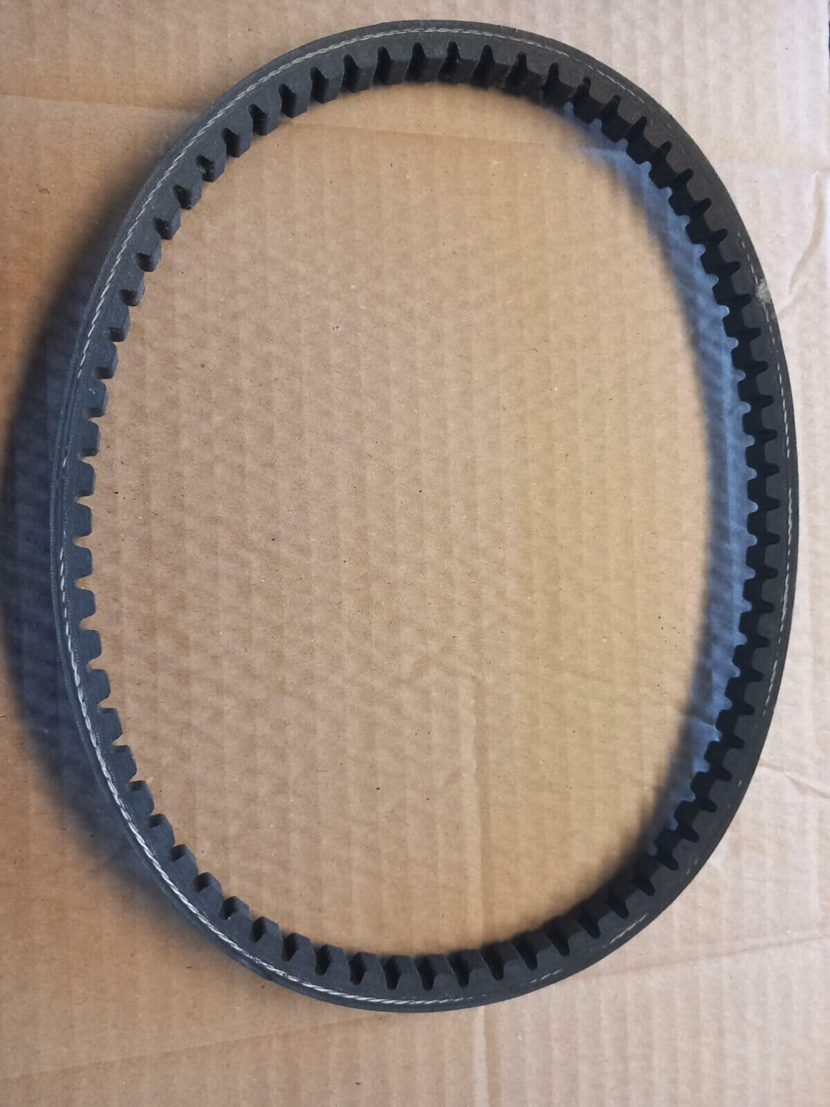 Honda Drive Belt - Image 1