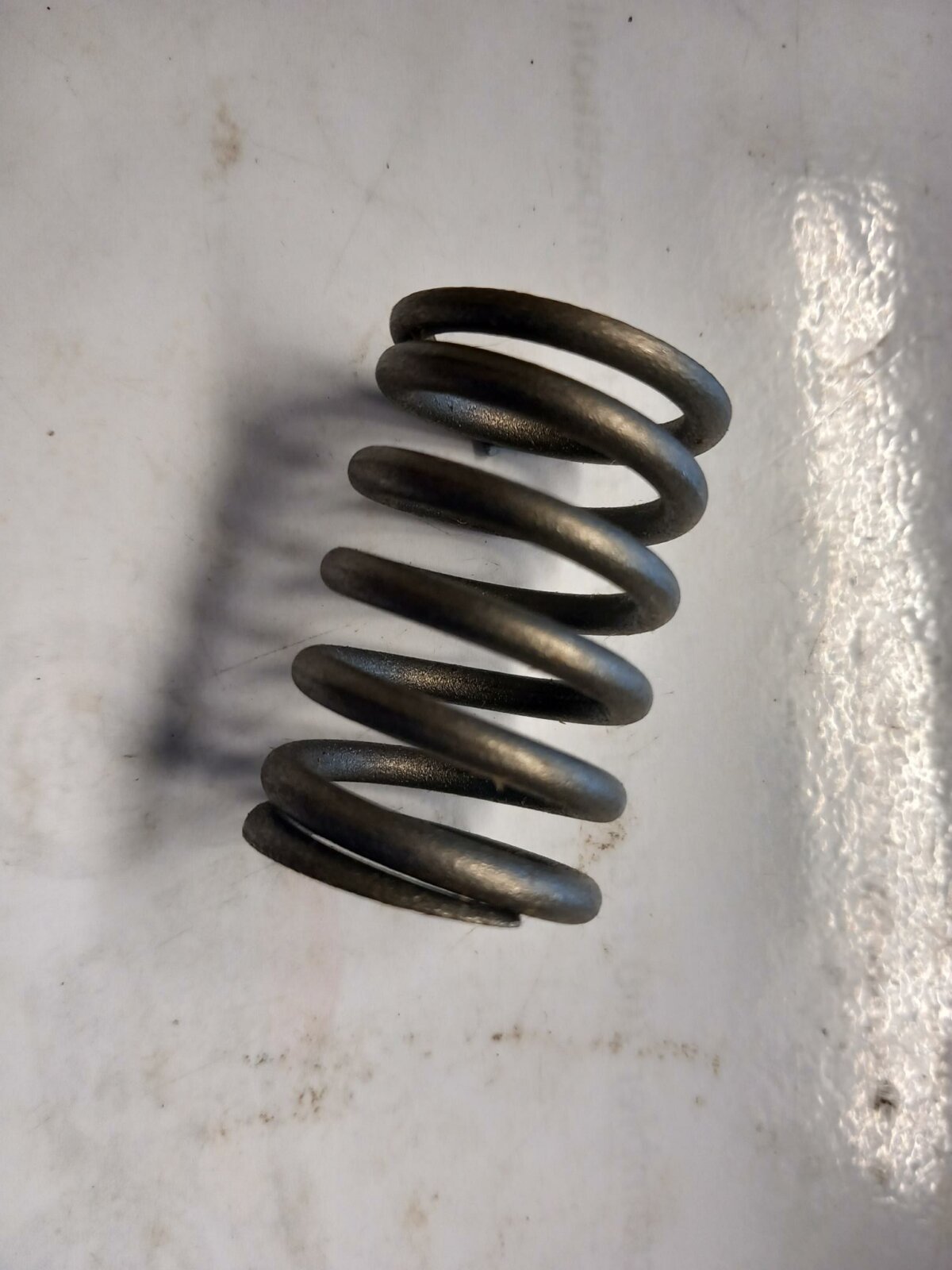 Reliant Valve Spring - Image 1