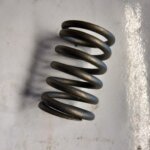 Reliant Valve Spring
